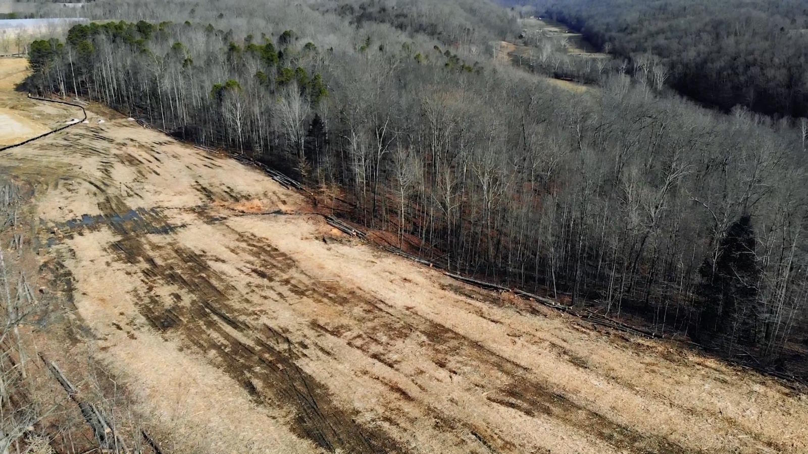 Land Clearing Services BMC Contracting Mt. Sterling, KY
